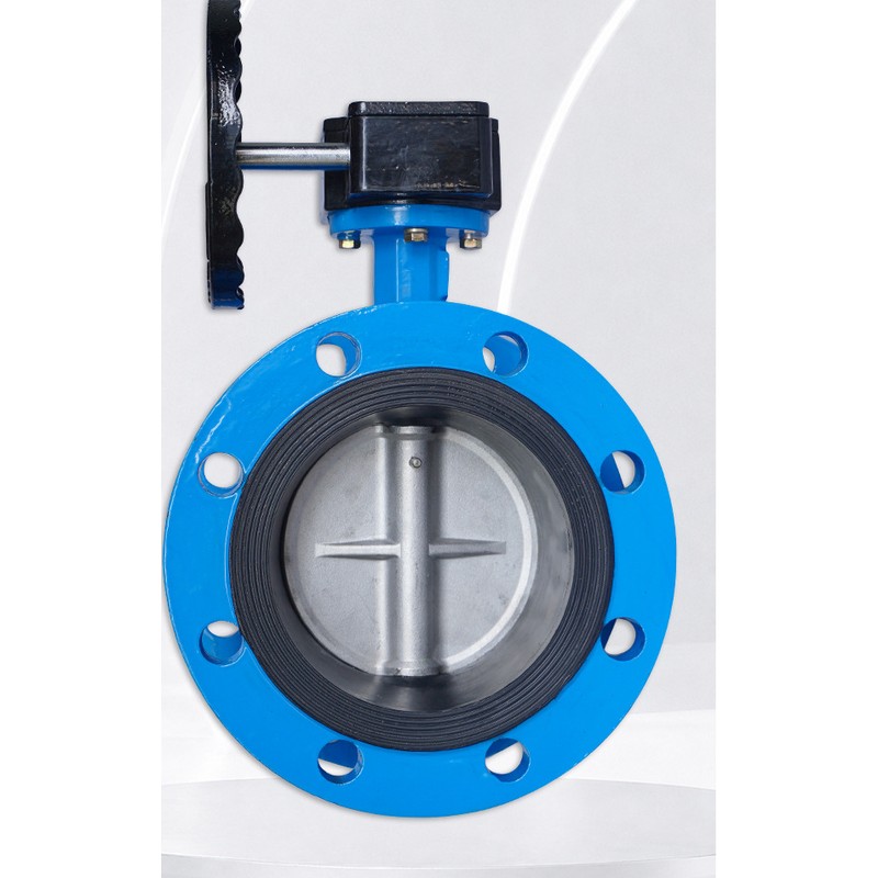 Flanged butterfly valve